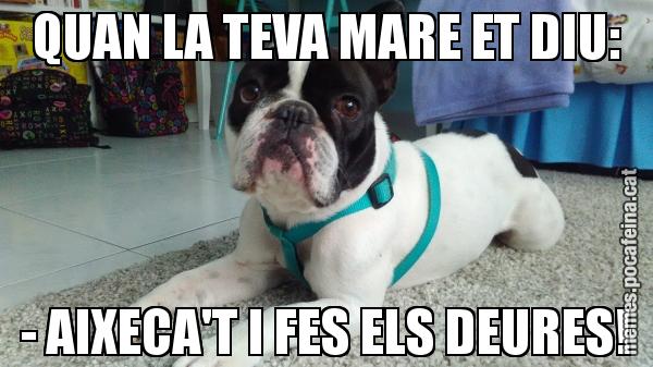 QUAN LA TEVA MARE ET DIU: - AIXECA'T I FES ELS DEURES!