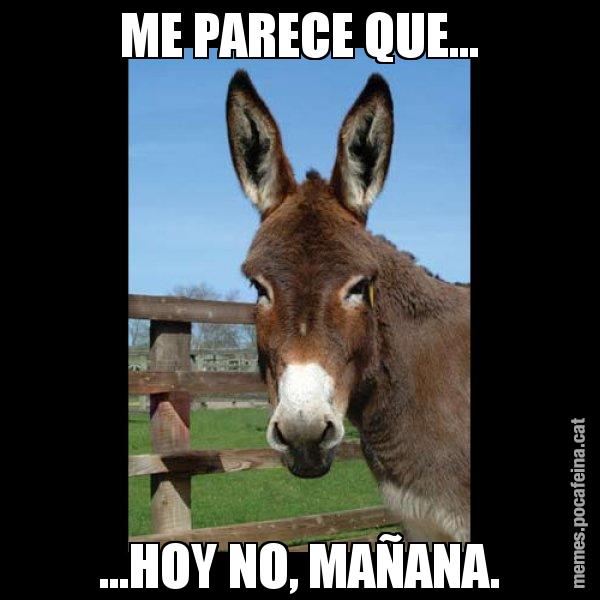 ME PARECE QUE... ...HOY NO, MAÑANA. - El burro Català