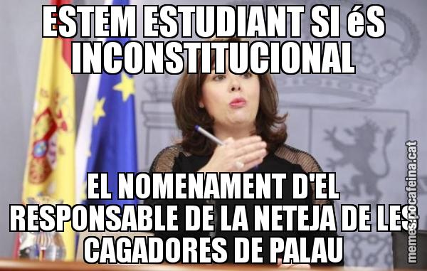 ESTEM ESTUDIANT SI éS INCONSTITUCIONAL EL NOMENAMENT D'EL RESPONSABLE DE LA NETEJA DE LES CAGADORES DE PALAU