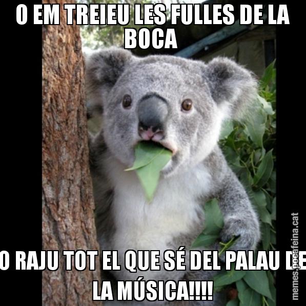 O EM TREIEU LES FULLES DE LA BOCA  O RAJU TOT EL QUE SÉ DEL PALAU DE LA MÚSICA!!!! - Koala Cant Believe It