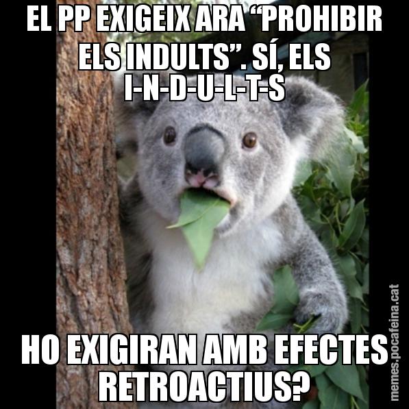 EL PP EXIGEIX ARA “PROHIBIR ELS INDULTS”. SÍ, ELS I-N-D-U-L-T-S HO EXIGIRAN AMB EFECTES RETROACTIUS? - Koala Cant Believe It