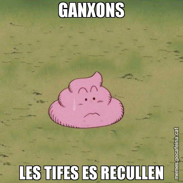 GANXONS LES TIFES ES RECULLEN - Caca