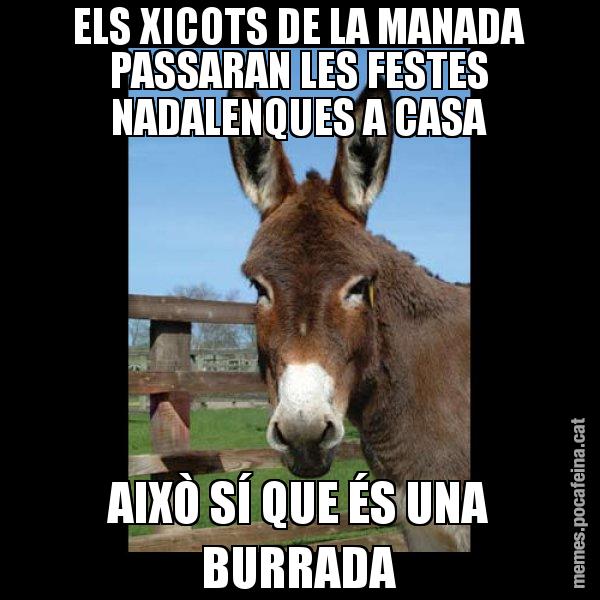 ELS XICOTS DE LA MANADA PASSARAN LES FESTES NADALENQUES A CASA AIXÒ SÍ QUE ÉS UNA BURRADA - El burro Català