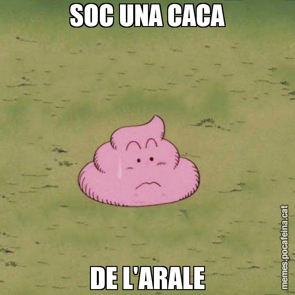 SOC UNA CACA DE L'ARALE - Caca