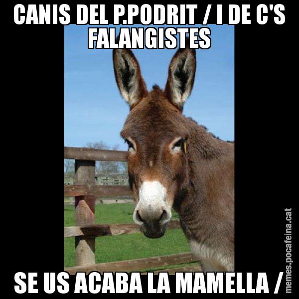 CANIS DEL P.PODRIT / I DE C'S FALANGISTES SE US ACABA LA MAMELLA / - El burro Català