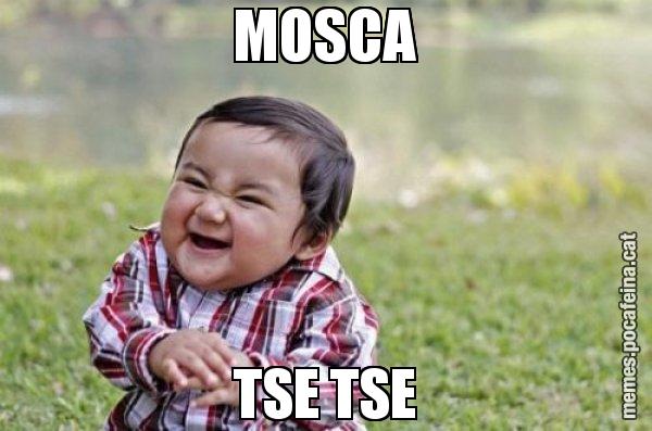MOSCA TSE TSE - El diabòlic nen asiàtic