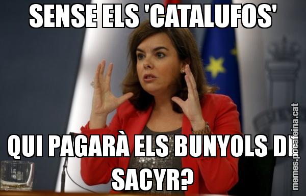 SENSE ELS 'CATALUFOS' QUI PAGARÀ ELS BUNYOLS DE SACYR?