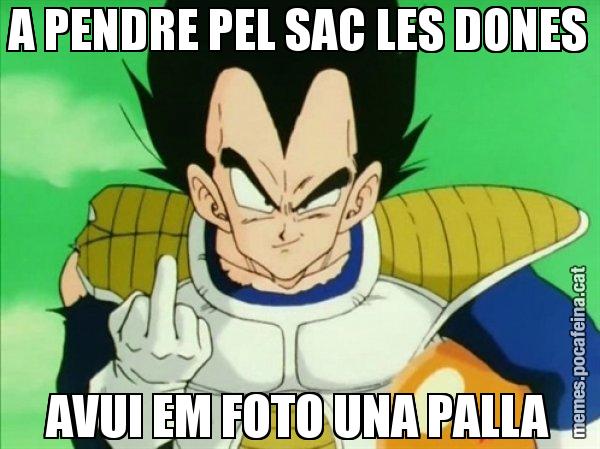A PENDRE PEL SAC LES DONES AVUI EM FOTO UNA PALLA - Vegeta