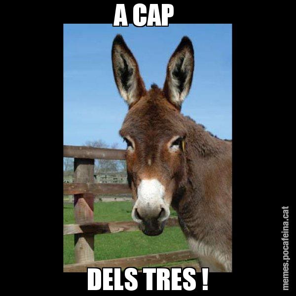 A CAP  DELS TRES ! - El burro Català