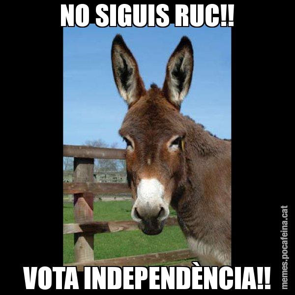 NO SIGUIS RUC!! VOTA INDEPENDÈNCIA!! - El burro Català