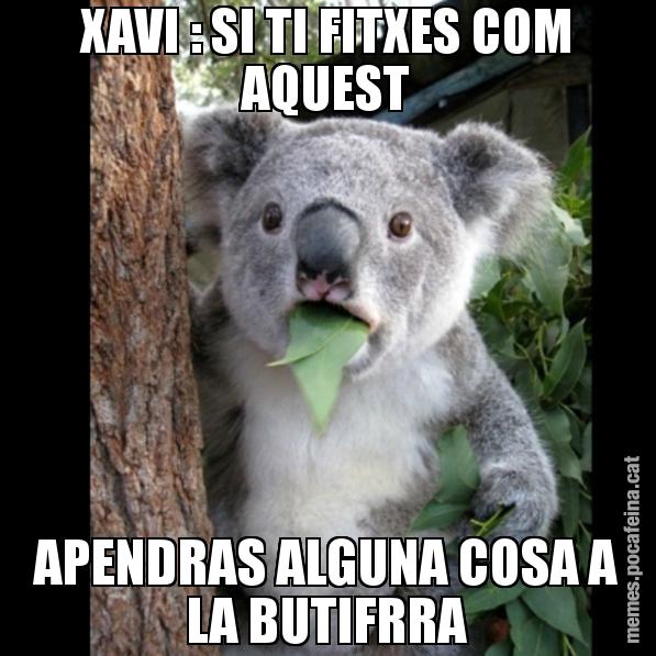 XAVI : SI TI FITXES COM AQUEST APENDRAS ALGUNA COSA A LA BUTIFRRA - Koala Cant Believe It