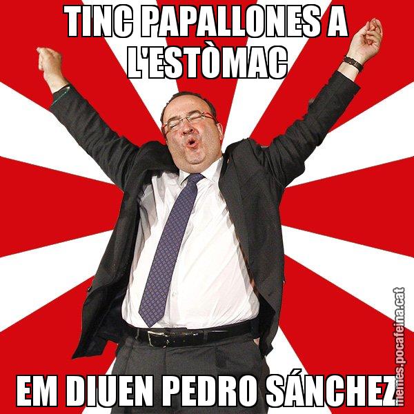 TINC PAPALLONES A L'ESTÒMAC EM DIUEN PEDRO SÁNCHEZ - Miquel Iceta - 27S