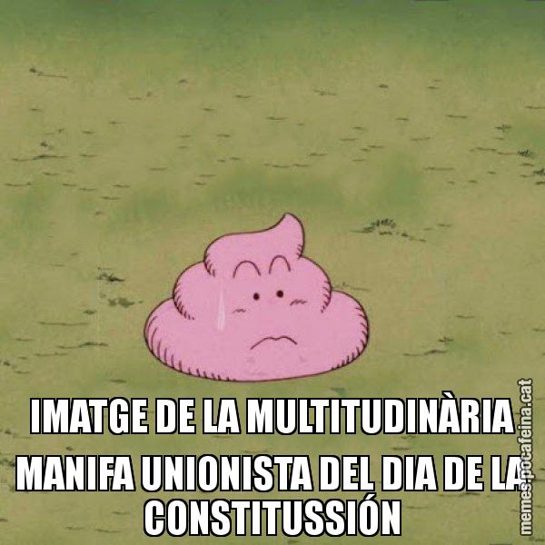IMATGE DE LA MULTITUDINÀRIA MANIFA UNIONISTA DEL DIA DE LA CONSTITUSSIÓN - Caca