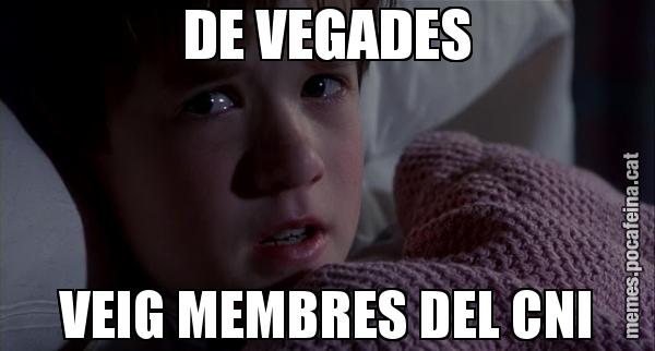 DE VEGADES VEIG MEMBRES DEL CNI