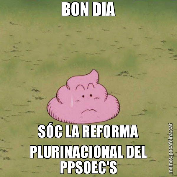 BON DIA SÓC LA REFORMA PLURINACIONAL DEL PPSOEC'S - Caca