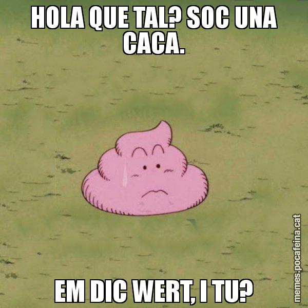 HOLA QUE TAL? SOC UNA CACA. EM DIC WERT, I TU? - Caca