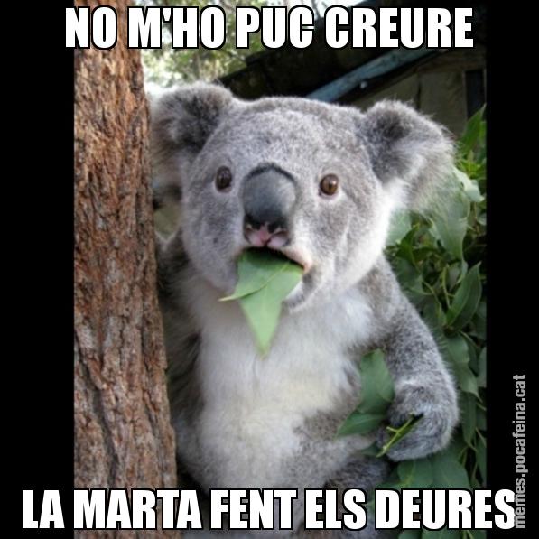 NO M'HO PUC CREURE LA MARTA FENT ELS DEURES - Koala Cant Believe It