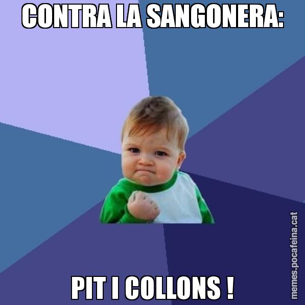 CONTRA LA SANGONERA: PIT I COLLONS ! - Success Kid