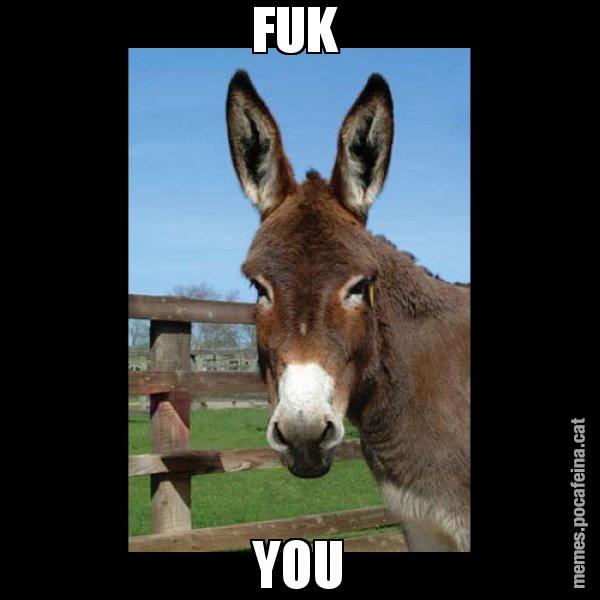 FUK  YOU - El burro Català