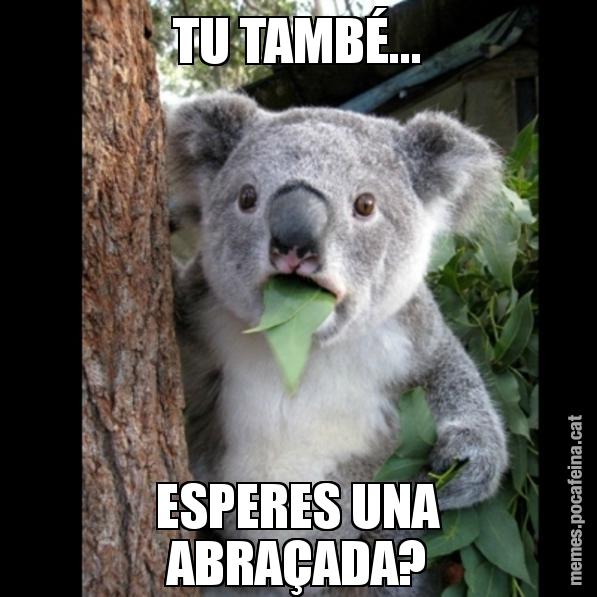 TU TAMBÉ... ESPERES UNA ABRAÇADA? - Koala Cant Believe It