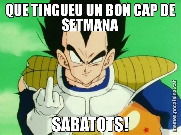 QUE TINGUEU UN BON CAP DE SETMANA SABATOTS! - Vegeta