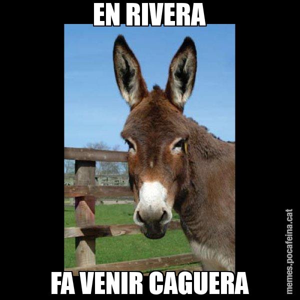 EN RIVERA FA VENIR CAGUERA - El burro Català