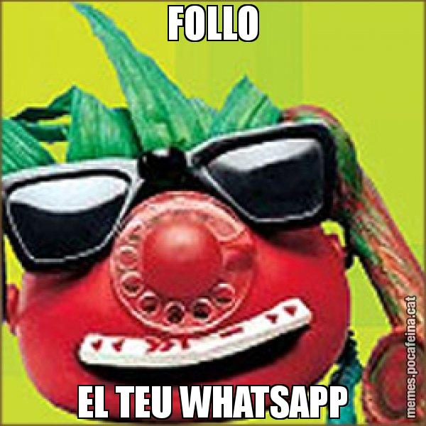 FOLLO EL TEU WHATSAPP - Tomàtic