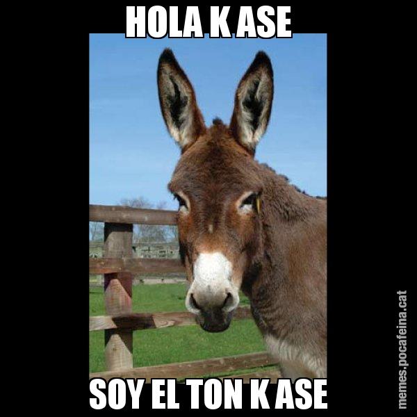 HOLA K ASE SOY EL TON K ASE - El burro Català