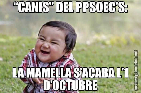 “CANIS” DEL PPSOEC’S: LA MAMELLA S’ACABA L’1 D’OCTUBRE - El diabòlic nen asiàtic