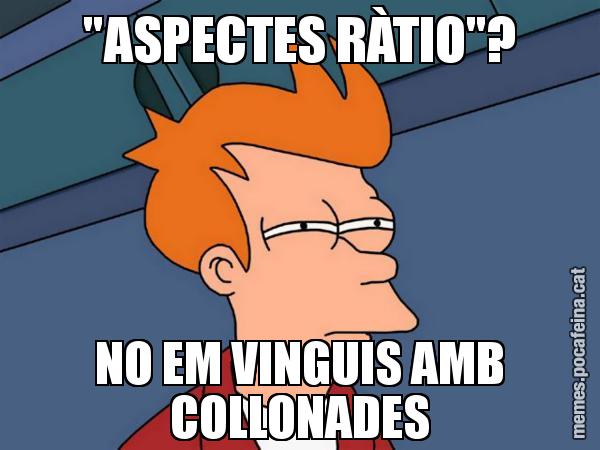 "ASPECTES RÀTIO"? NO EM VINGUIS AMB COLLONADES - Futurama Fry