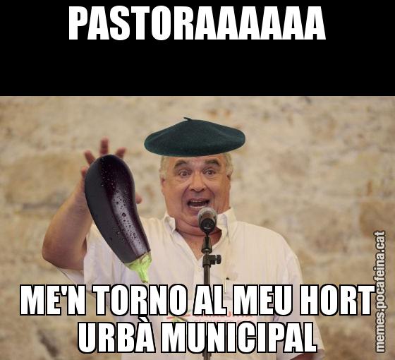 PASTORAAAAAA ME'N TORNO AL MEU HORT URBÀ MUNICIPAL