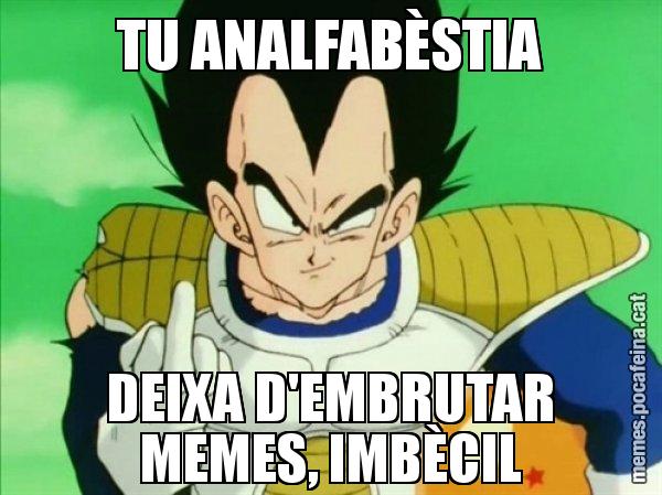 TU ANALFABÈSTIA DEIXA D'EMBRUTAR MEMES, IMBÈCIL - Vegeta