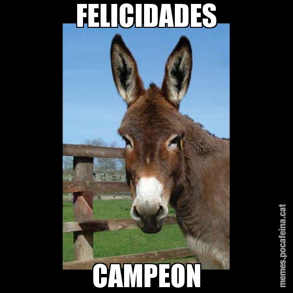 FELICIDADES CAMPEON - El burro Català