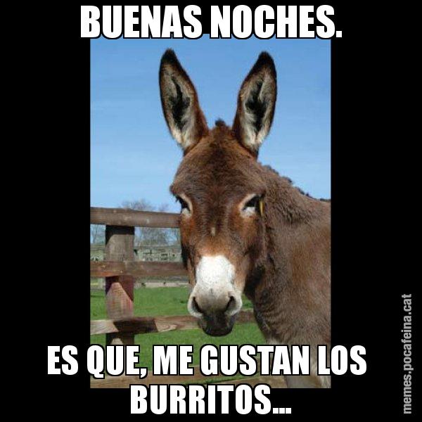 BUENAS NOCHES. ES QUE, ME GUSTAN LOS  BURRITOS... - El burro Català