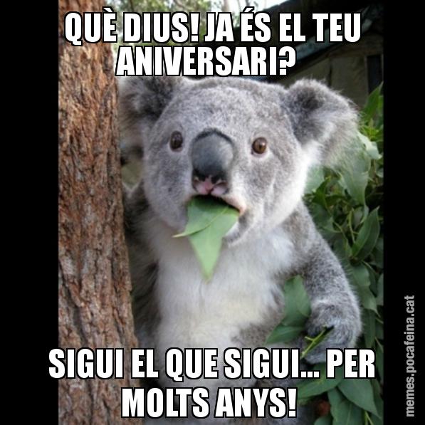 QUÈ DIUS! JA ÉS EL TEU ANIVERSARI?  SIGUI EL QUE SIGUI... PER MOLTS ANYS! - Koala Cant Believe It