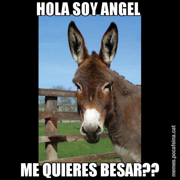 HOLA SOY ANGEL  ME QUIERES BESAR?? - El burro Català