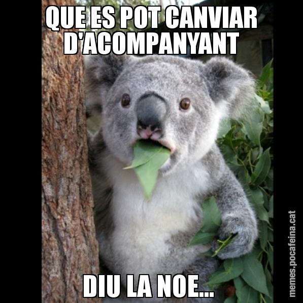 QUE ES POT CANVIAR D'ACOMPANYANT DIU LA NOE... - Koala Cant Believe It