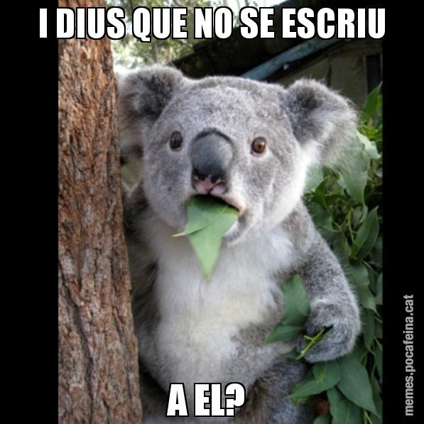 I DIUS QUE NO SE ESCRIU A EL? - Koala Cant Believe It