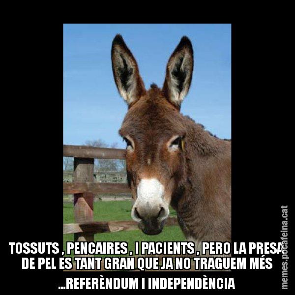 TOSSUTS , PENCAIRES , I PACIENTS , PERO LA PRESA DE PEL ES TANT GRAN QUE JA NO TRAGUEM MÉS ...REFERÈNDUM I INDEPENDÈNCIA - El burro Català
