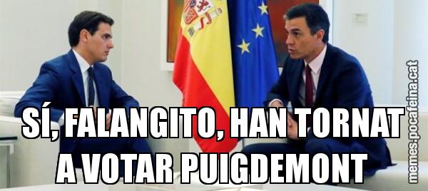 SÍ, FALANGITO, HAN TORNAT A VOTAR PUIGDEMONT