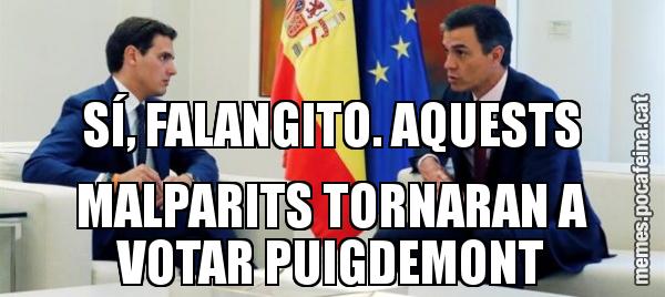 SÍ, FALANGITO. AQUESTS MALPARITS TORNARAN A VOTAR PUIGDEMONT