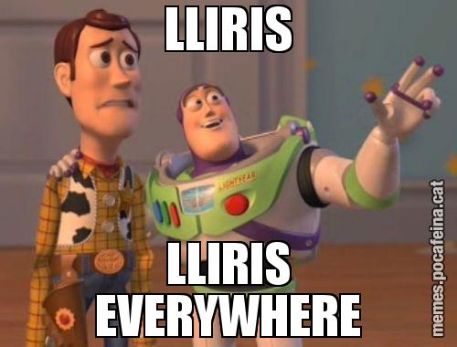 LLIRIS LLIRIS EVERYWHERE