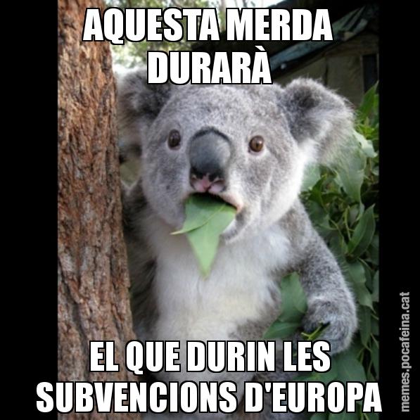 AQUESTA MERDA DURARÀ EL QUE DURIN LES SUBVENCIONS D'EUROPA - Koala Cant Believe It