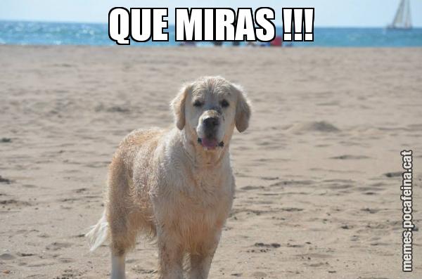 QUE MIRAS !!!