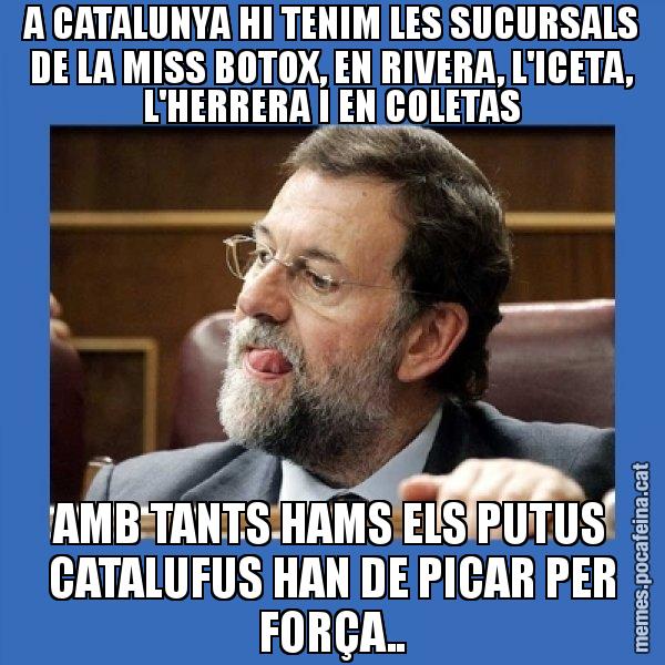 A CATALUNYA HI TENIM LES SUCURSALS DE LA MISS BOTOX, EN RIVERA, L'ICETA, L'HERRERA I EN COLETAS AMB TANTS HAMS ELS PUTUS CATALUFUS HAN DE PICAR PER FORÇA.. - Mmmmmariano Rajoy