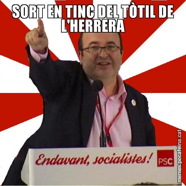 SORT EN TINC DEL TÒTIL DE L'HERRERA - Miquel Iceta
