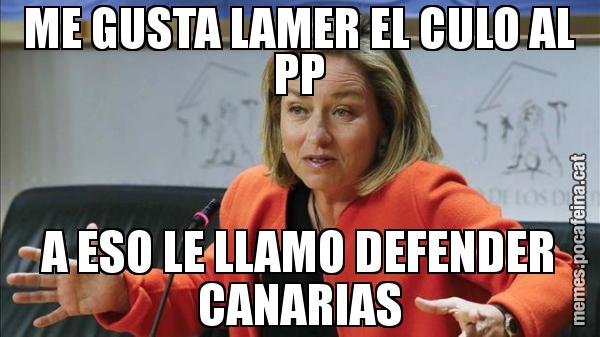 ME GUSTA LAMER EL CULO AL PP A ESO LE LLAMO DEFENDER CANARIAS