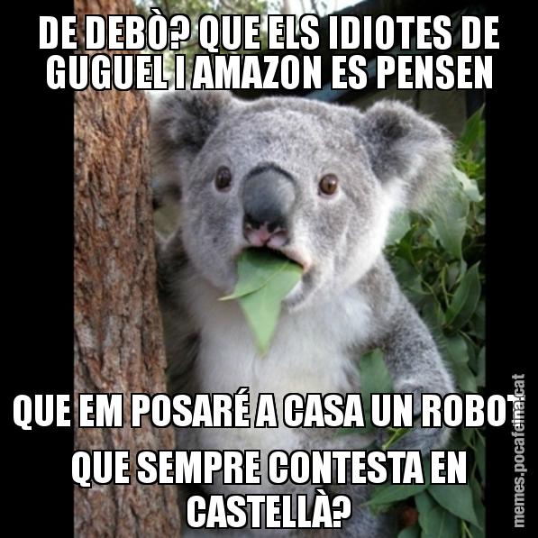DE DEBÒ? QUE ELS IDIOTES DE GUGUEL I AMAZON ES PENSEN QUE EM POSARÉ A CASA UN ROBOT QUE SEMPRE CONTESTA EN CASTELLÀ? - Koala Cant Believe It