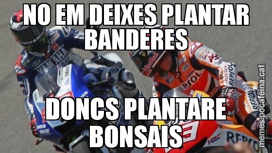NO EM DEIXES PLANTAR BANDERES DONCS PLANTARE BONSAIS