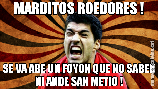 MARDITOS ROEDORES ! SE VA ABE UN FOYON QUE NO SABEN NI ANDE SAN METIO !
